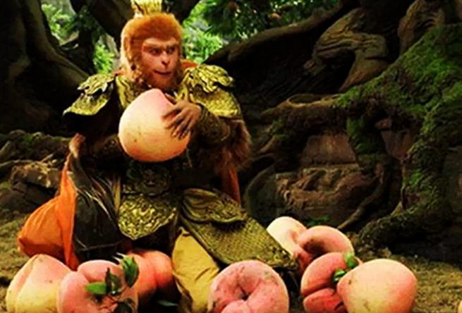 孙悟空来到天庭的真实经历,孙悟空的经历告诉我们什么道理