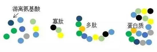 减肥饮食看热量还是看碳水,减肥早吃碳水午吃肉晚吃什么