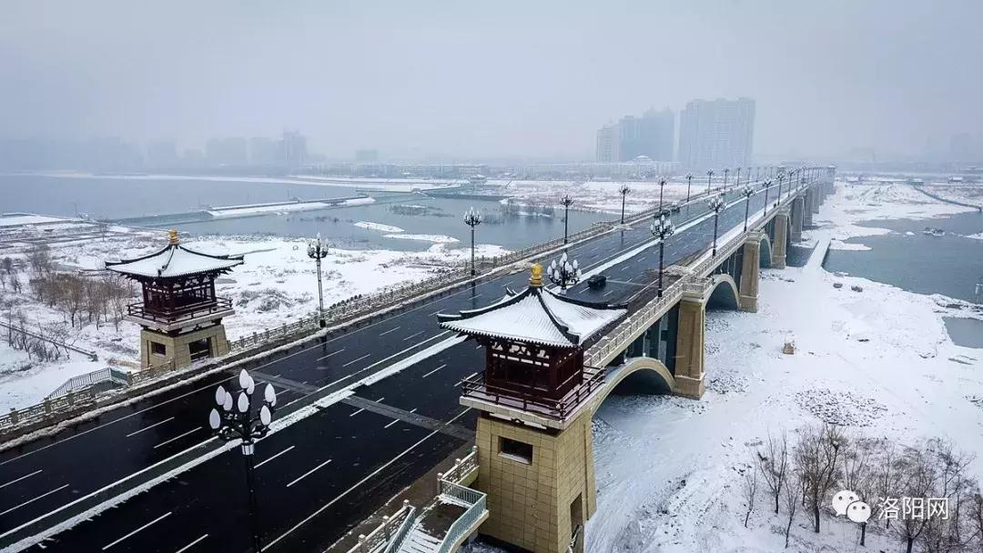 洛阳牡丹花会邀请,洛阳邀请全世界人民看牡丹