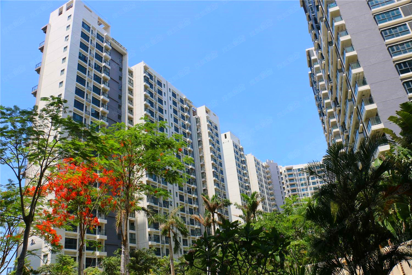 三亚有多少东北人定居,三亚适合不适合常住