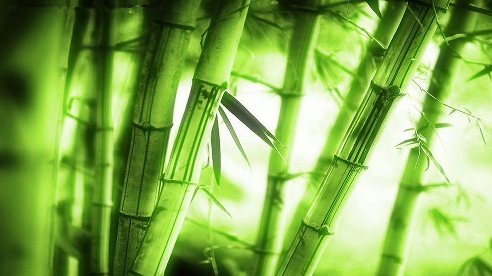 红楼梦最经典的十句诗词,《红楼梦》最经典的12首诗词