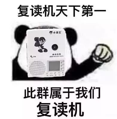 电音群成员分类研究报告,你是电音群中的哪类人?