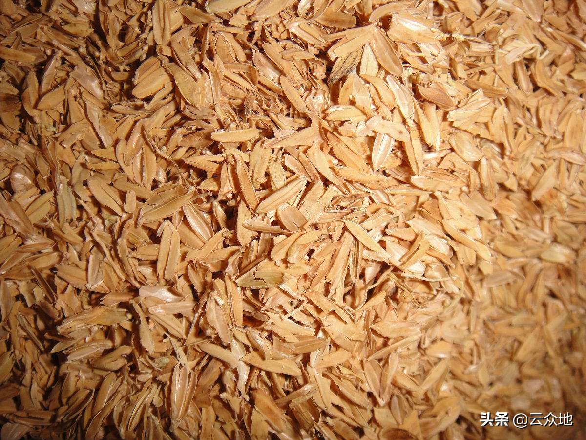 稻谷米糠加工,稻壳米糠加工成功案例