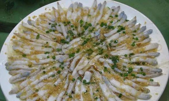 海南儋州人文文化,海南儋州歌曲留在心中