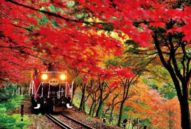 深圳旅行社整理：秋季旅游国内最佳目的地