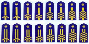 过去的志愿兵相当现在几级士官,第一批志愿兵现有什么待遇