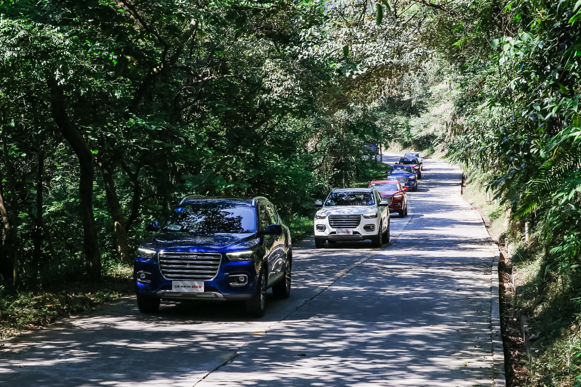 测评哈弗h6第三代最高配,试驾哈弗h6全新第三代油耗