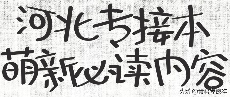 河北专接本和专升本的区别是什么,河北省专接本和专升本的区别