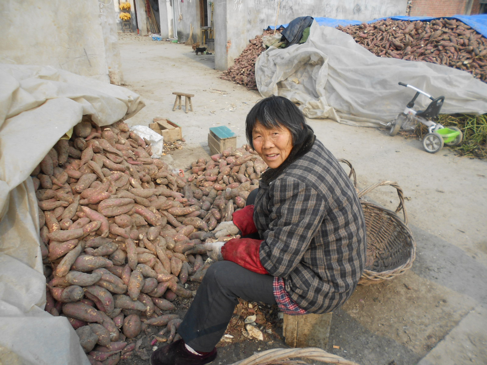 董湖粉丝美味+风味+农业历史，让你开足美食模式