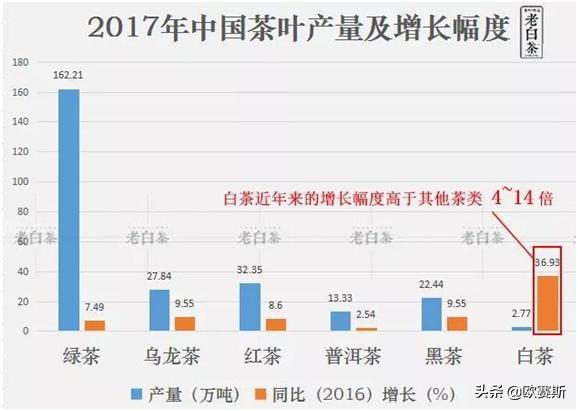 深度分析白茶市场,白茶品牌化发展道路要怎么走