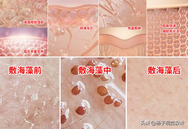 海藻籽面膜的功效与作用,海藻面膜的作用与用途有哪些