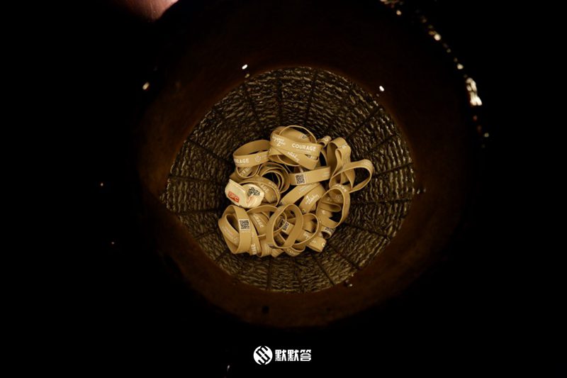 全世界有哪三所夜间动物园,全国第一夜间野生动物园