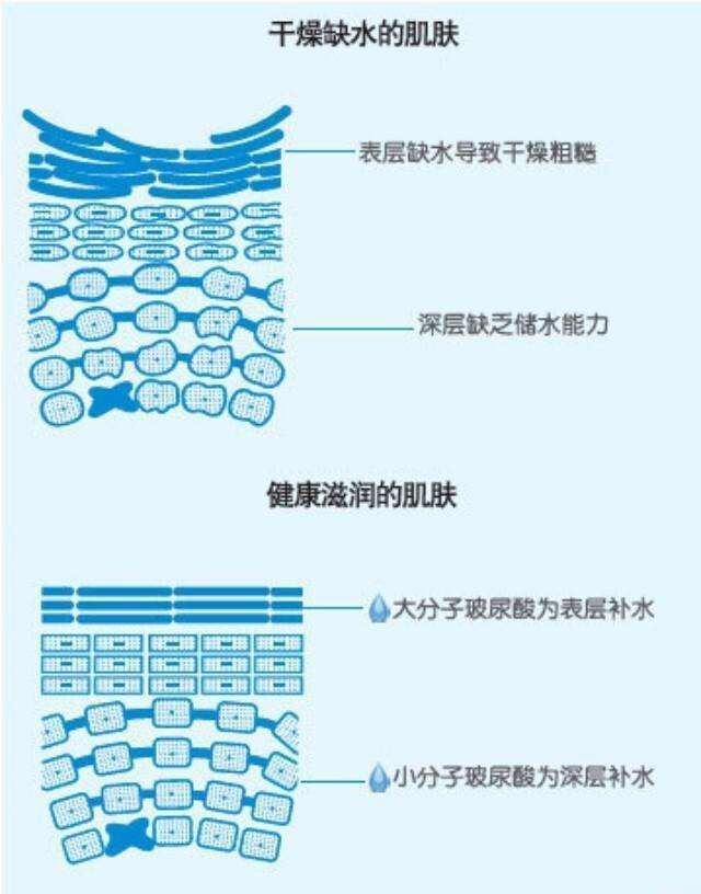 敷了那么多补水面膜脸还干?干皮星人必备的面膜,敷完秒变水嘭嘭