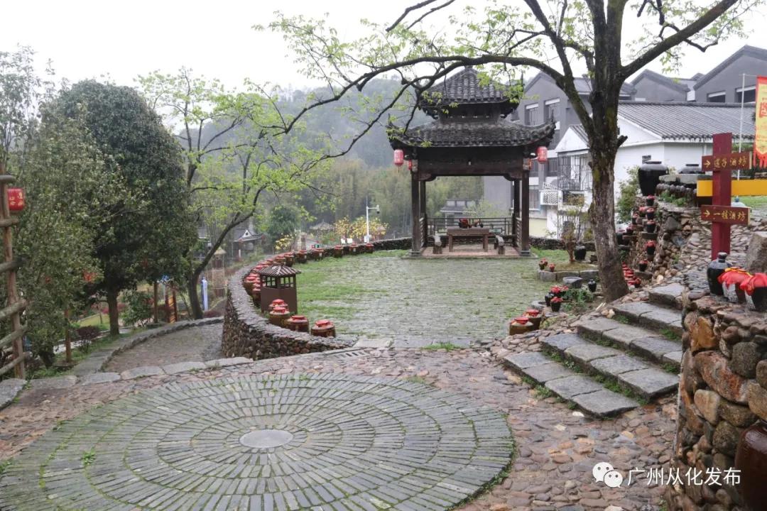 从化莲麻头酒十里飘香，昔日贫困村在绿水青山间迸发振兴力量