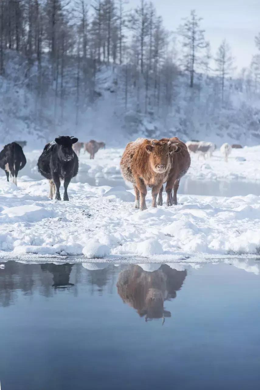 这才是一二月最值得去的13个旅行地，千万别去错了