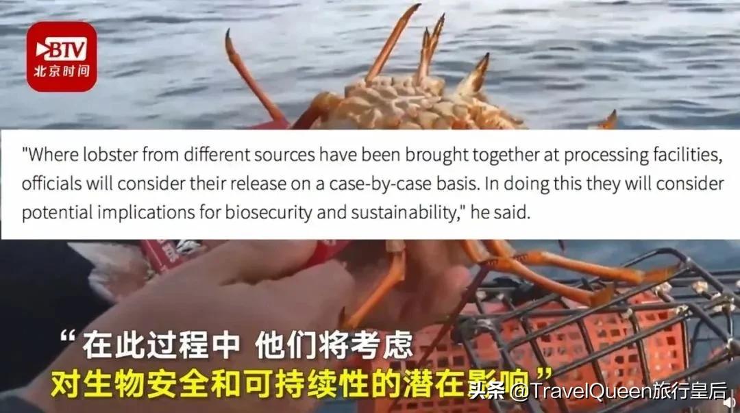 如果没有中国游客，世界该有多无聊