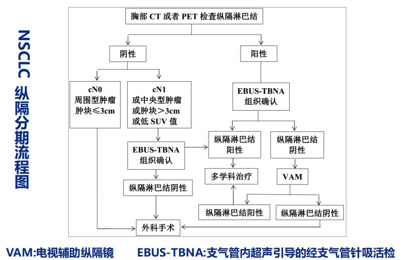 小细胞肺癌的气管镜介入治疗,导航支气管镜在肺癌诊断中的应用