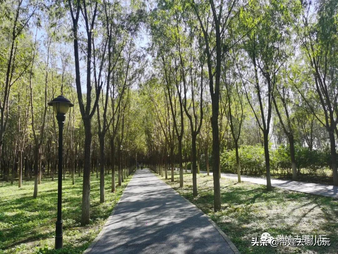 房山青龙湖镇亲子度假酒店,北京房山酒店儿童乐园