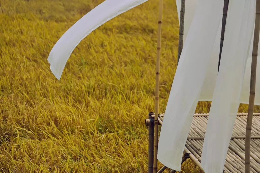 七个闺蜜造房养老,7个闺蜜一起改造农村小院