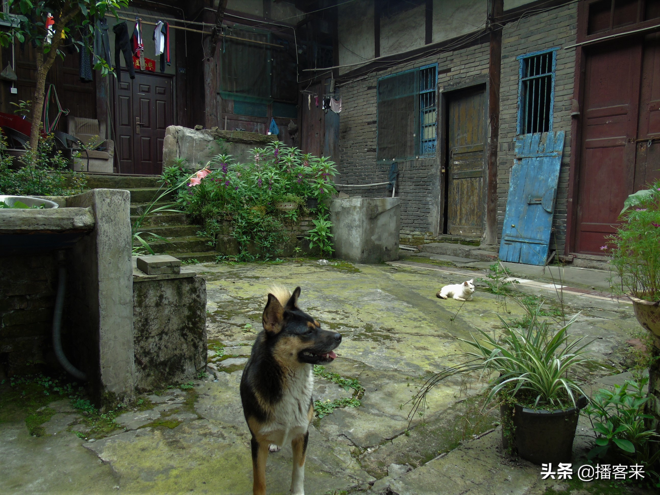 重庆巴南木洞石宝街老街,重庆巴南区木洞古镇