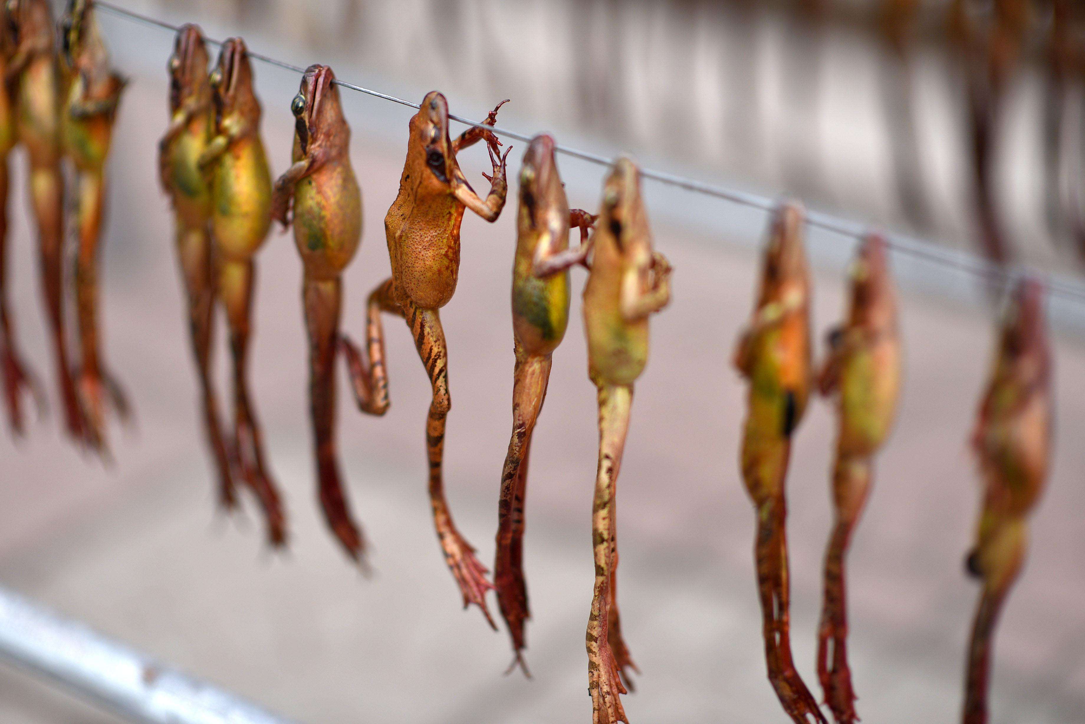 女人经常吃雪蛤膏有何好处,女性长期吃雪蛤海鲜的好处