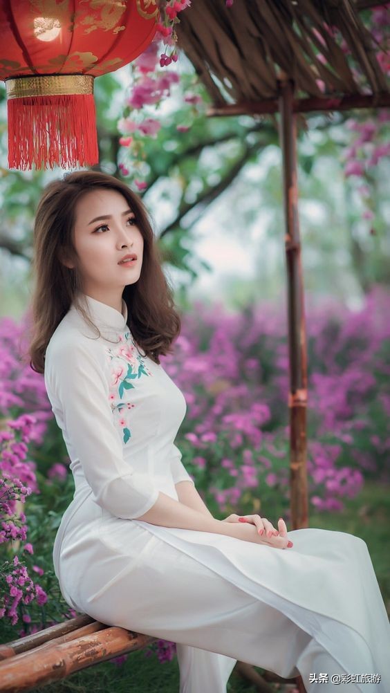 越南文化中国服饰,越南传统文化服饰