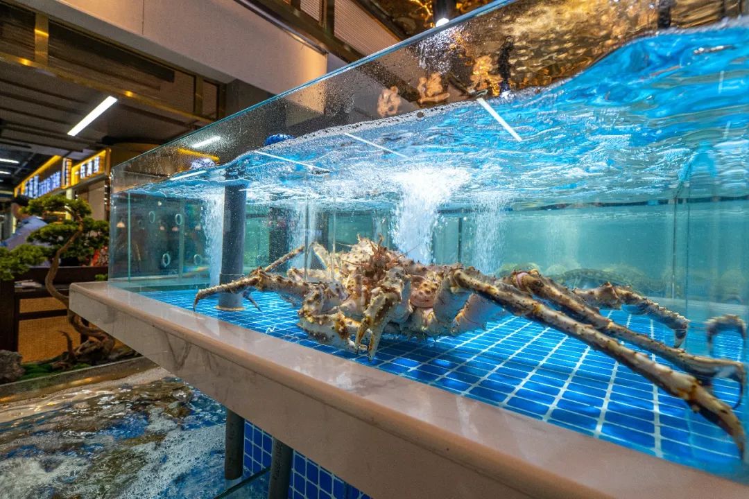 杭州涌金广场多次转型，联手近江海鲜城满血复活，杭州吃货必打卡