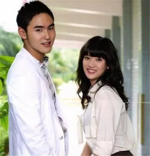 日版和台湾版流星花园,新流星花园在日本反响