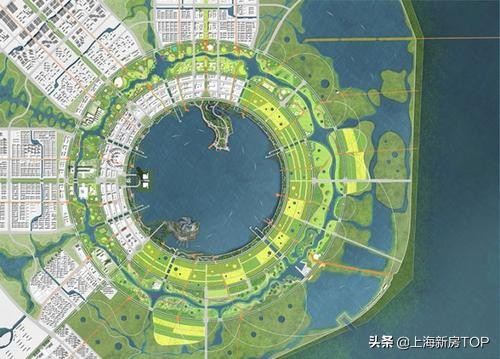 上海临港自贸区对房价的影响,上海奉贤和临港自贸区