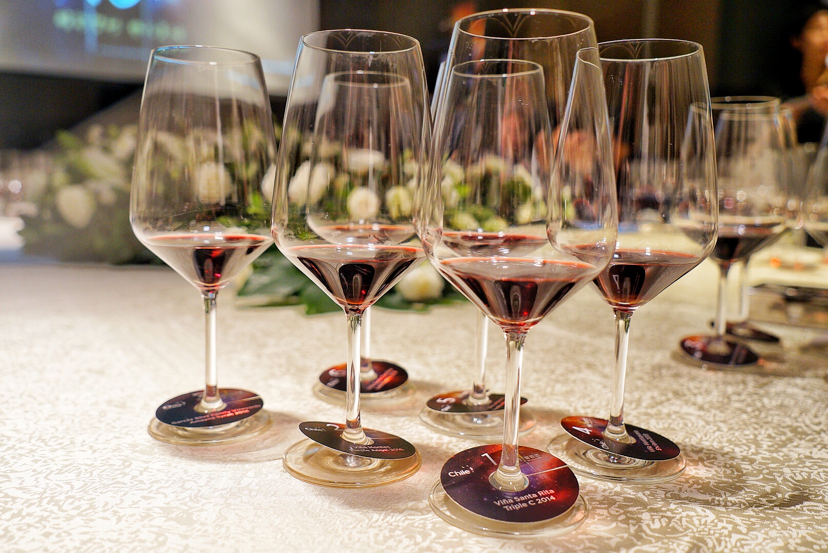 精彩葡萄酒,智利原瓶进口非凡之旅红葡萄酒