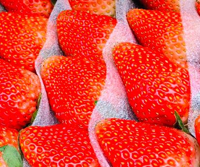 5月份的季节适合吃的水果有哪些,5月吃什么水果最应季