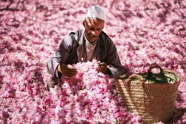 rosense洛神诗玫瑰水好用吗,rosense洛神诗玫瑰水200ml