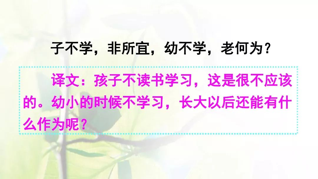 部编版一年级下册人之初知识,一年级下册识字8人之初