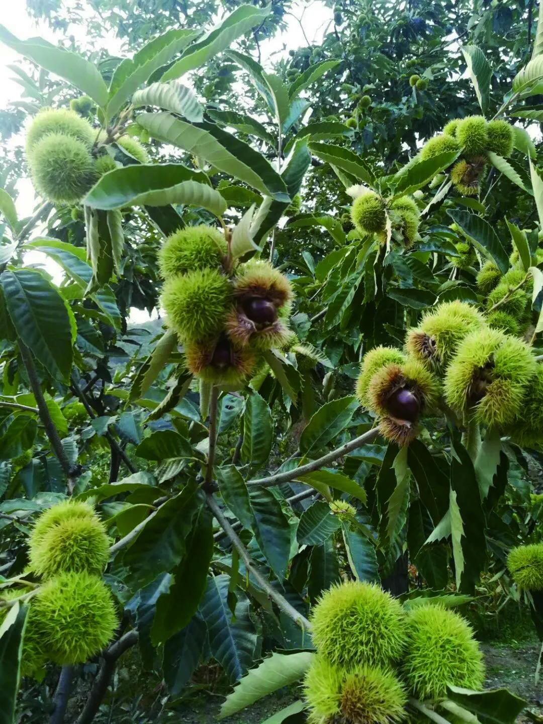 沈阳日报12月13日,沈阳新闻9月16日