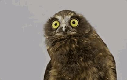 优质碳水为啥可以减肥,优质碳水为什么可以减肥