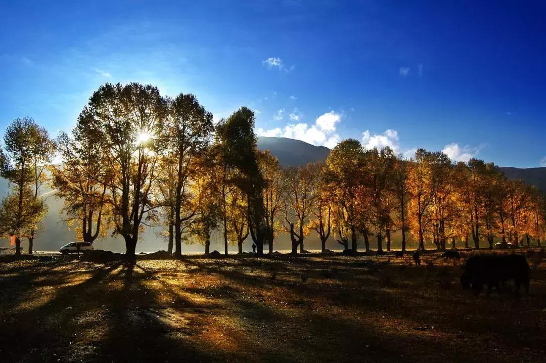 牛栏山假货鉴别,牛栏山42.8辨别真假