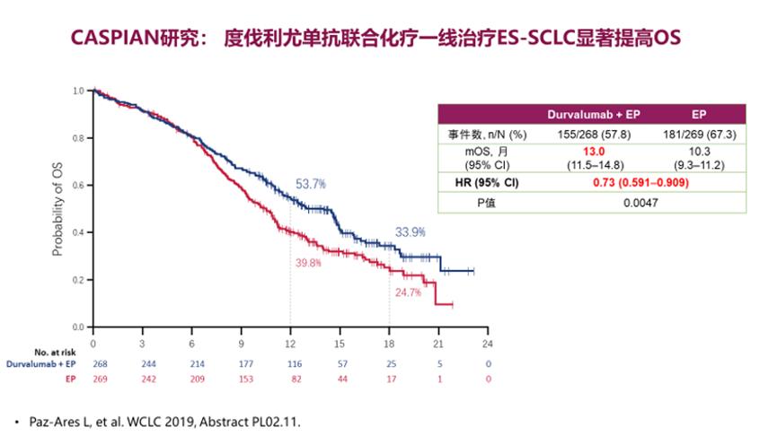 pd-1免疫治疗肺癌患者指南,小细胞肺癌治疗药物2021年新汇总