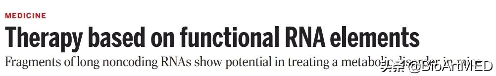 RNA疗法新策略：lncRNA功能元件制剂具备苯*酮丙**尿症治疗潜力