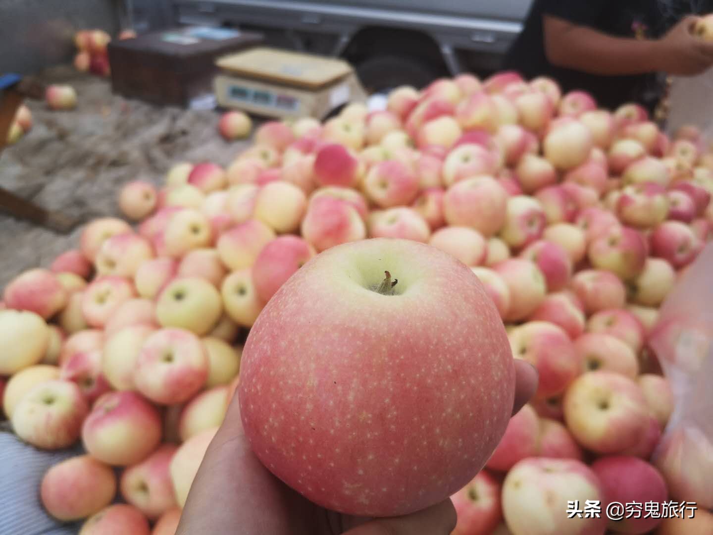 辽宁兴城东山早市,兴城早市有哪些