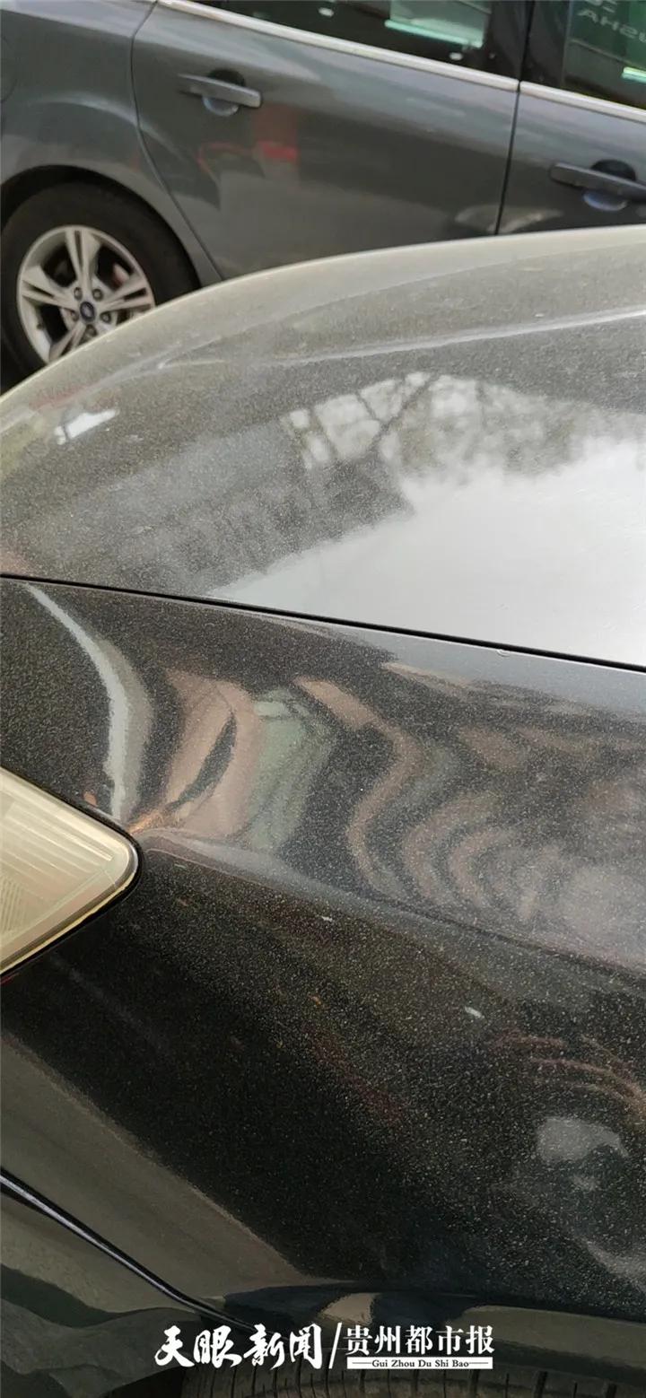 贵阳市黄色粉末,贵阳这几天黄色的粉末是什么