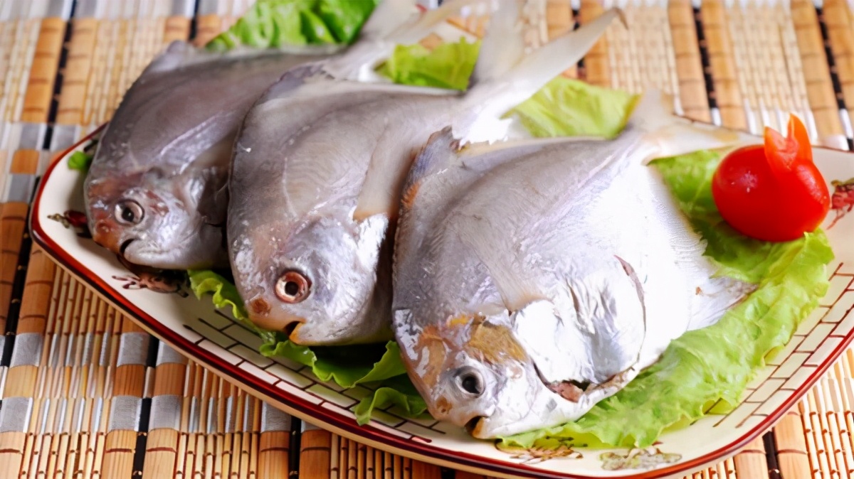 六种野生鱼不能人工养殖,怎样挑选野生鱼和养殖鱼