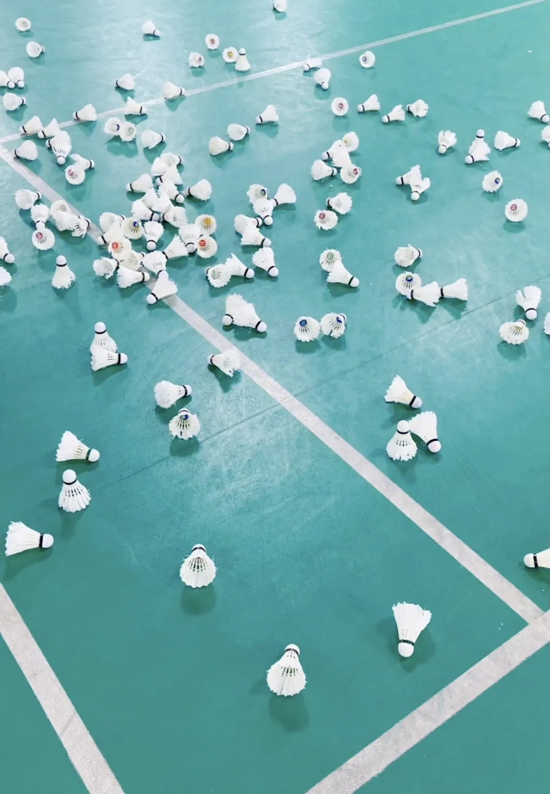 「潮玩夜株洲」株洲这些吃喝玩乐购，你打卡了哪些？