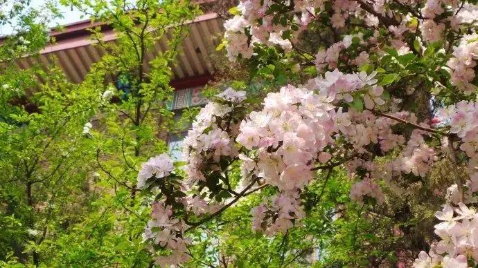 天津旅游必去十大景点天津美食,天津旅游攻略必玩的景点小吃