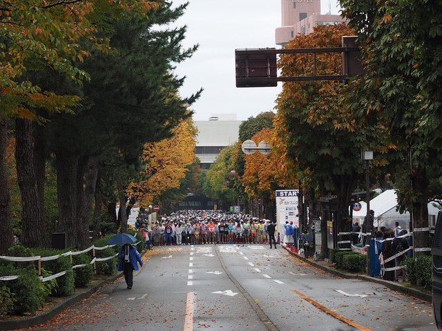 名古屋岐阜,名古屋岐阜樱花