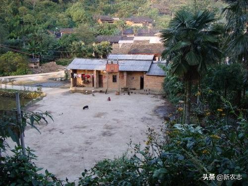 承包1800亩田地一年可以赚多少钱,租地300亩租金1200一年盈利多少