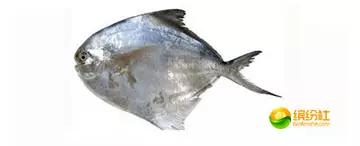 舟山海鲜攻略2天3晚吃什么,舟山海鲜代加工攻略