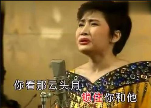 歌手李娜的成名经历简介,歌手李娜在美国出过歌吗