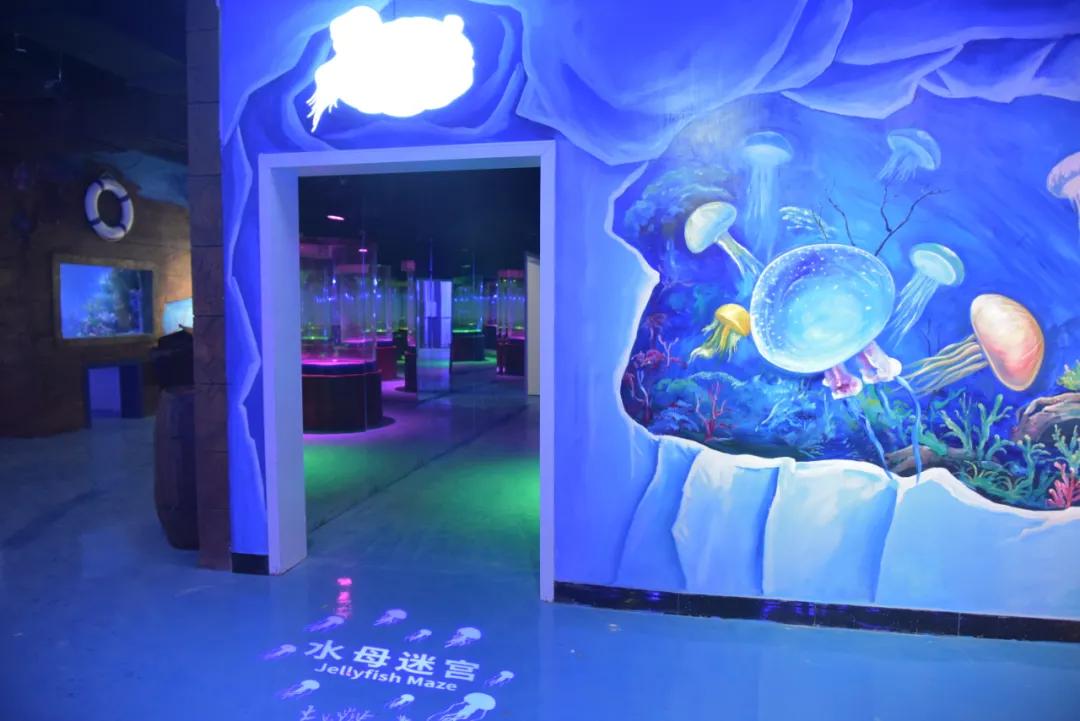 100个梦幻乐园,超2000平的梦幻王国游乐场