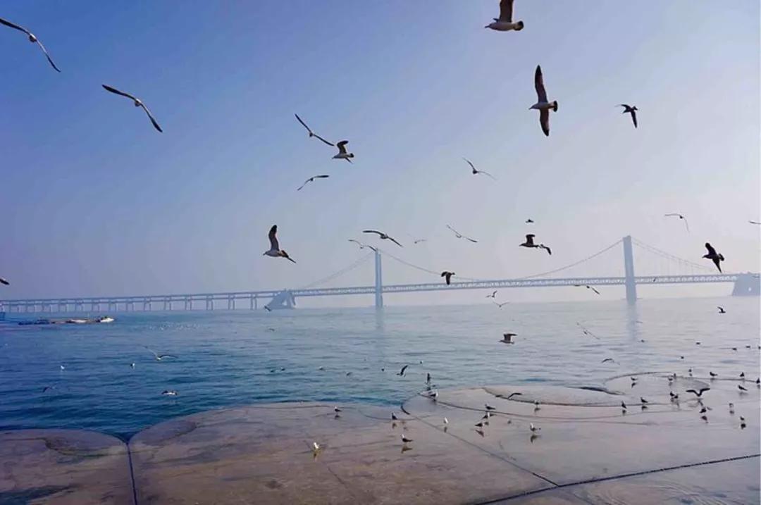 大连旅游攻略精致景点推荐,大连必去的打卡景点