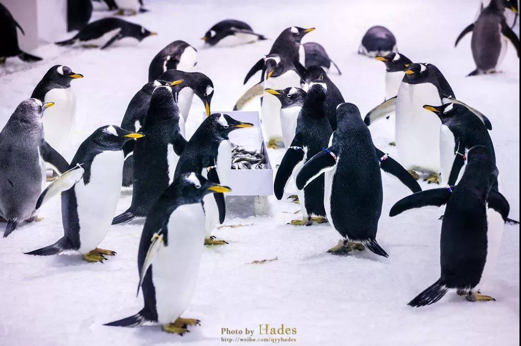 浪漫之都大连怎么样,浪漫之都大连